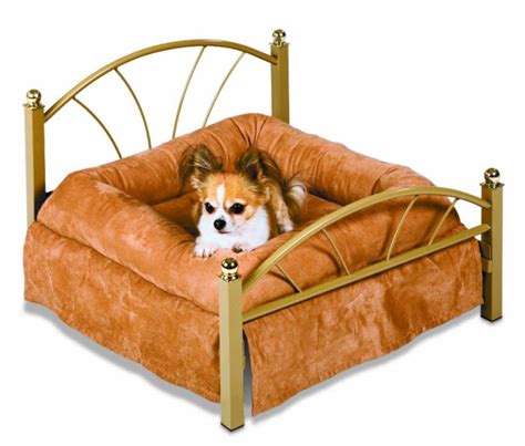 Fancy Dog Beds – WhereIBuyIt.com