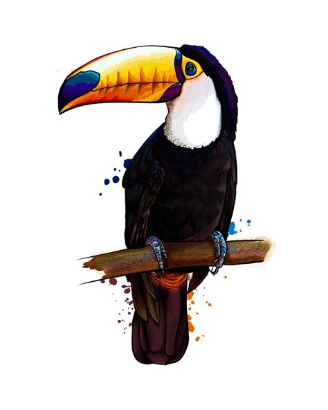 Toucan, tropical bird from a splash of watercolor, colored drawing ...