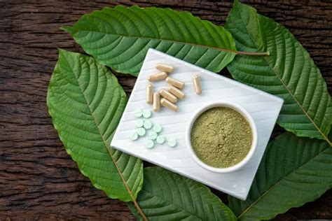 Kratom Strains 101: All the Types of Kratom & Their Effects