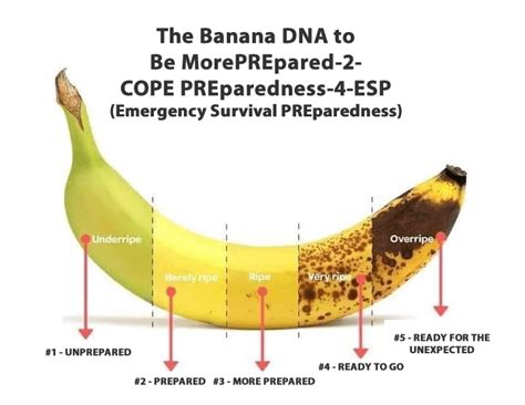 The Banana DNA - A Taste Of PREparedness