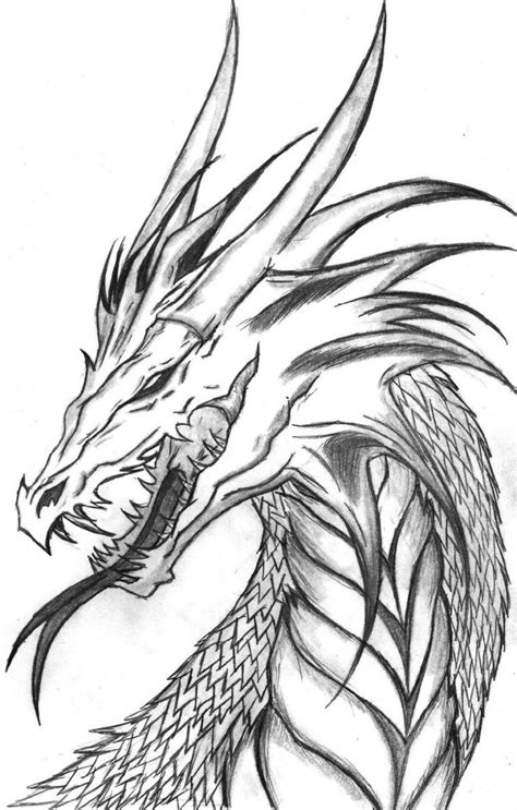 Realistic Dragon Coloring Pages | K5 Worksheets