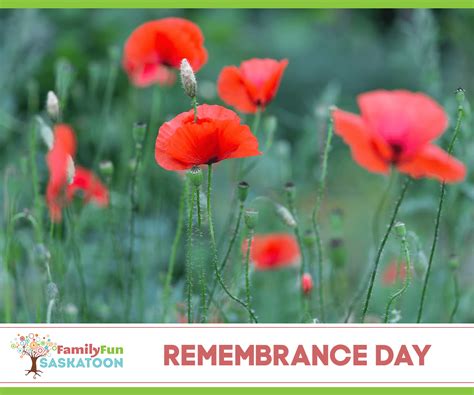 Remembrance Day in Saskatoon and the Area | Family Fun Saskatoon