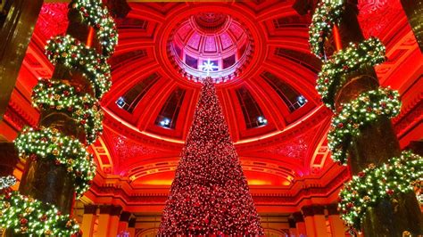 5 Strikingly Beautiful Christmas Trees To See Around Edinburgh