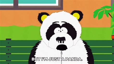 Sad Panda GIF by South Park - Find & Share on GIPHY