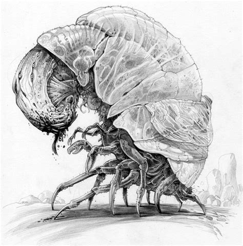 Pin by Mohammed Anuz on ChD - Monsters | Creature drawings, Creature ...