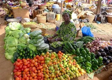 What is contribution of the agricultural sector to the Nigerian economy? - Legit.ng