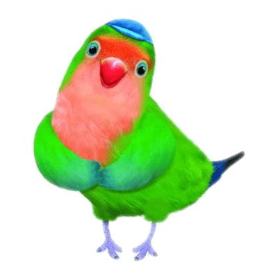 Download 3rd&Bird Samuel transparent PNG - StickPNG