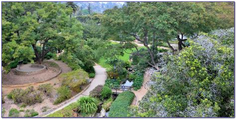 Santa Barbara Botanic Garden Coupon - Garden : Home Design Ideas #B1Pme5yP6l50353