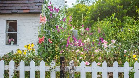 Cottage garden plants – the top flowers and shrubs to grow | Country