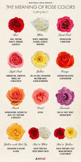 The Meaning of Roses: Symbolism of Rose Colour | Best Blooms Florist