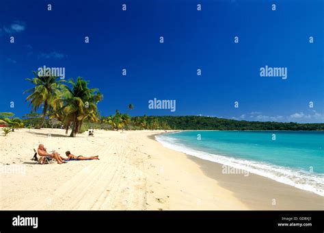 Sun Bay Beach on Vieques Island, Puerto Rico, Caribbean Stock Photo - Alamy