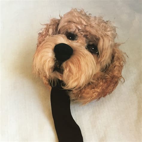 Custom Golf headcovers and puppets : Cavapoo-Custom made Golf headcover