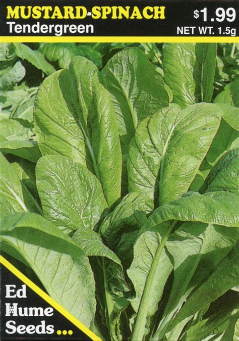 Mustard-Spinach – Tendergreen – Hume Seeds