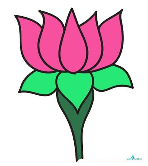 How To Draw Lotus: Easy Step-By-Step Guide | Flower drawing, Easy ...