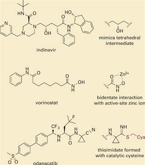 Reactions of Carbonyl Species | Basicmedical Key