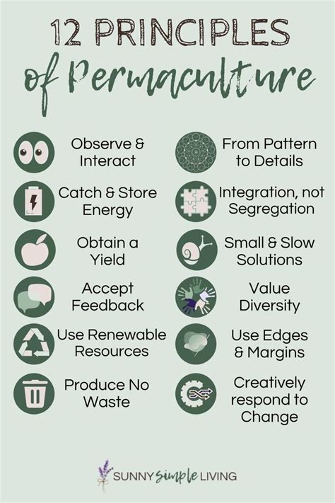 The 12 principles of permaculture | Permaculture, Simple living, Off grid living