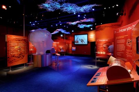 Museum Exhibits and Environments by Art Guild | Science center ...