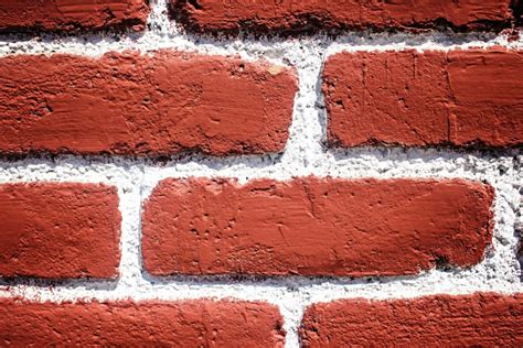 Free picture: wall, brick, texture, red, white