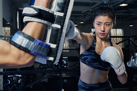 Female Boxer Training Picture And HD Photos | Free Download On Lovepik