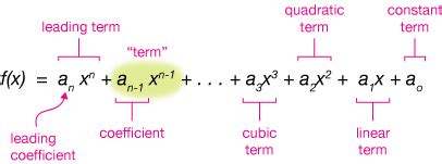 Polynomial functions