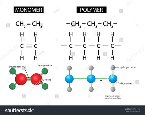 illustration of chemistry, Polymers and Monomers diagram chemistry# ...