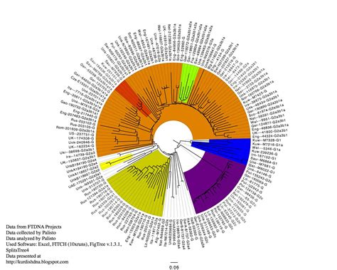 KurdishDNA: Haplogroup G STR111 tree