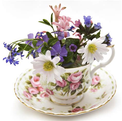 Teacup Flowers | Teacup flowers, Flower tea, Flower arrangements