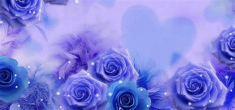 Blue Fresh Roses Background | Rose background, Pink background images, Wedding background images