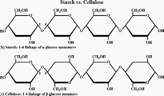 Cellulose Vs Starch Structure