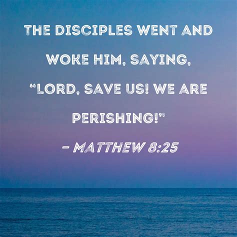 Matthew 8:25 The disciples went and woke Him, saying, "Lord, save us! We are perishing!"