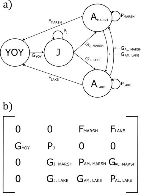 a) Diagram and b) matrix representing the elements of the... | Download Scientific Diagram