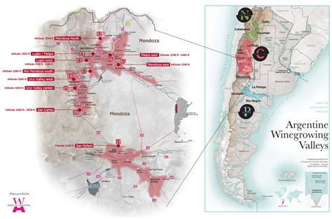 Mastering Mendoza Malbec | Wine Folly