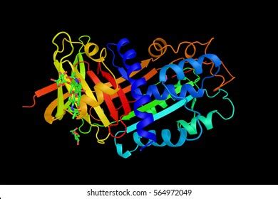 16 Tissue Plasminogen Activator Images, Stock Photos, 3D objects, & Vectors | Shutterstock