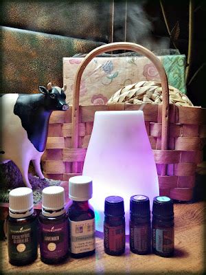 A Slice of Texas blog : URPOWER ESSENTIAL OIL DIFFUSER - Product Review