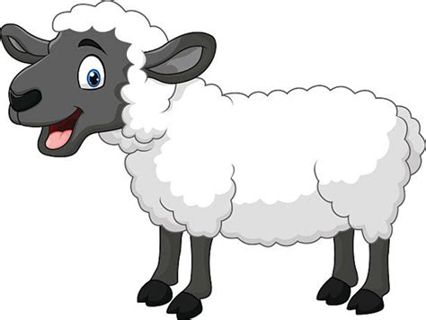 Download High Quality sheep clip art Transparent PNG Images - Art Prim ...