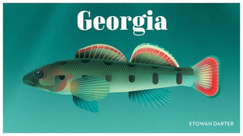 Endangered Critters from Each US State - Neatorama