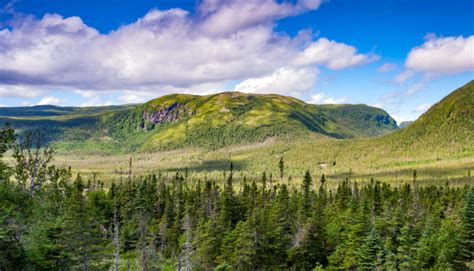 Parks Campaigns – CPAWS Newfoundland Labrador