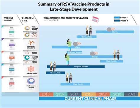 New Research Provides Hope In The Search For A Respiratory Syncytial Virus Vaccine- Part III ...