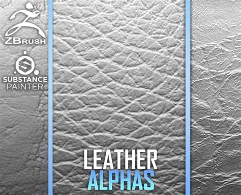 Leather Alphas ZBrush PSD 3D model | CGTrader