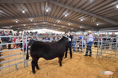 Clay County Fair Livestock 2022 - Thomas Lightbody