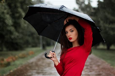 Images Brunette girl Girls Rain Umbrella Glance