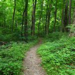 Favorite Hiking Trails | Footwearly