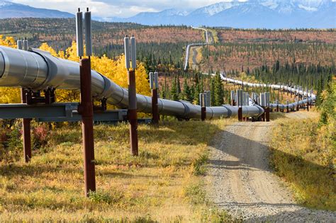 Trans Alaska Pipeline with Autumn Colors | SEI