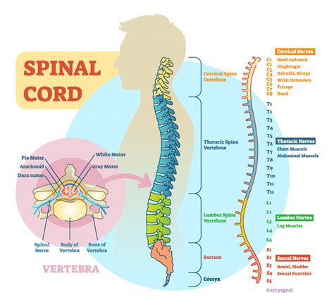 6.2 Basic Neurological Concepts – Nursing Skills – 2e