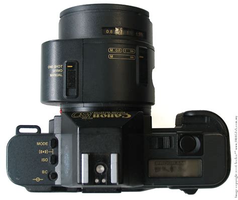 Canon T80 & FD AC Lenses Showcase