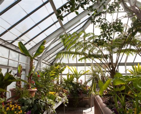 Adding an Attached Greenhouse to Your House - Ence Rentals