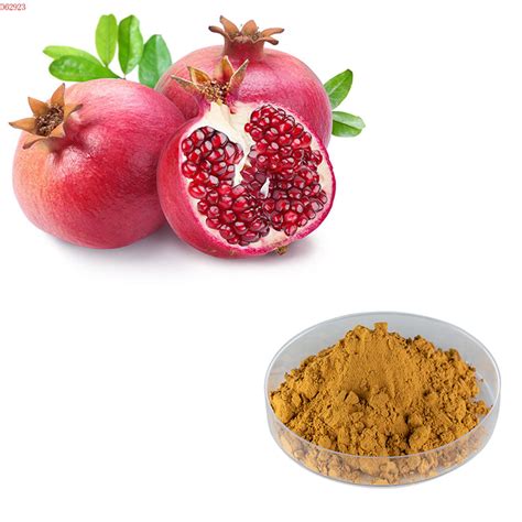 Pomegranate-peel-powder | JHD Ingredients