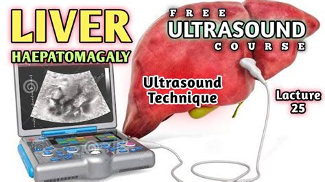 How is Hepatomegaly Measured in an Ultrasound?| Is Hepatomegaly the same as Fatty Liver ...