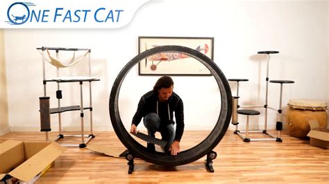 10 Best DIY Cat Wheel Plans (Make a Cat Exercise Wheel)