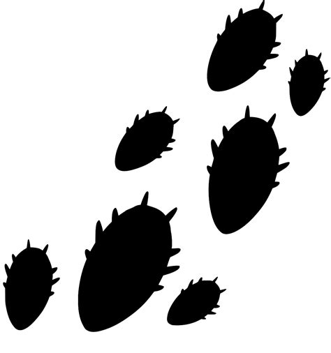 SVG > beetles insects nature - Free SVG Image & Icon. | SVG Silh